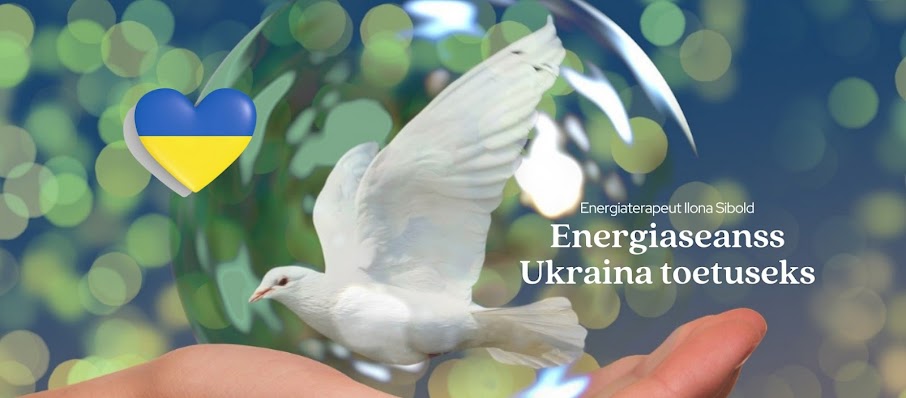 Energiaseanss Ukraina toetuseks