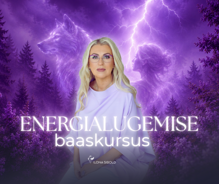Energialugemise baaskursus 2027